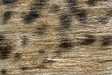 Texture of color straw,abstract background