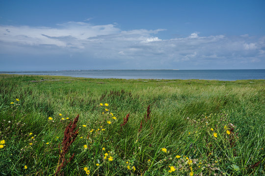 View over the north sea near Dornum (Dornumer Siel) 