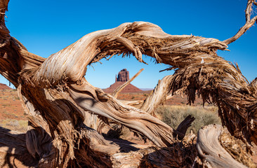 monument valley