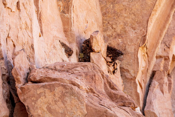 Detail of a part of the petroglyphs incised by the Fremont People in the sandstone rock face at Dinosaur National Monument, Utah