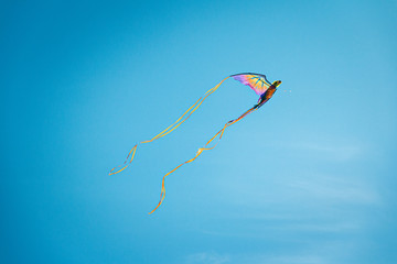 kite in the sky