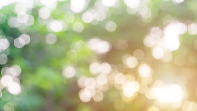  White and green bokeh abstract background
