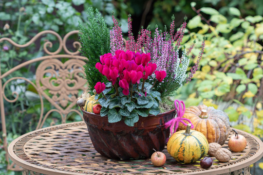 Herbstdekoration mit Blumen in alter Guglhupfform und Kürbissen