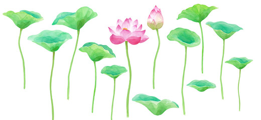 蓮の花と葉のパーツセット　水彩イラスト