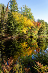 Muskoka River in a Autumn afternoon of a sunny day