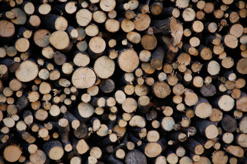 Wooden cuts.Material for burning. Background