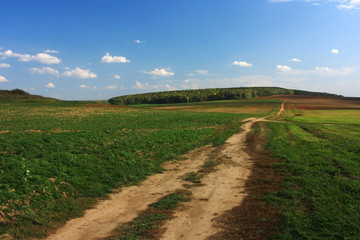 Empty road in the field