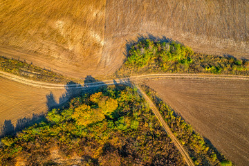 aerial top view from drone  of the country road dividing into among the fields.