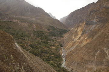 Environment below the Colca Canyon. Arequipa, Peru