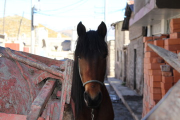 Arequipa, Peru