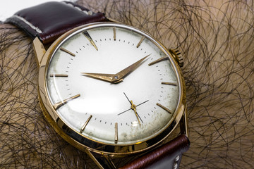 An old gold mechanical wristwatch with manual winding. Antique watch ruined by time, with scratches and mildew stains. Watch worn on a man's hairy wrist. Leather band. Vintage clock. Spend time.
