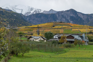 Autumn Foliage Mountain Landscape Nature Trees Travel Aosta Valley Italy