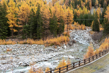 Autumn Foliage Mountain Landscape Nature Trees Travel Aosta Valley Italy