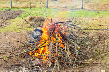 Burning autumn foliage and branches. Bonfire.
