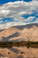 landscape of ladakh in summer with visible snow capped mountain