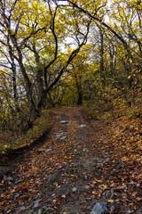 Georgian autumnal landscape