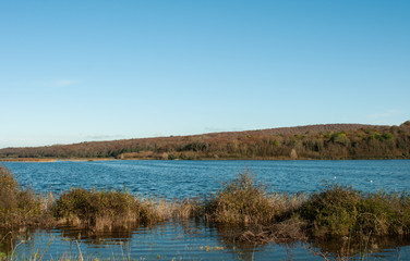 landscape with flooded field and blue sky