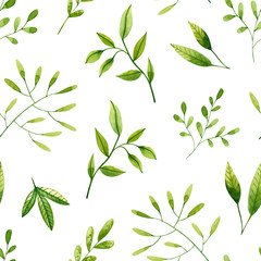 Seamless pattern with green watercolor branches and leaves. Hand drawn illustration isolated on white. Template is perfect for interior design, social media background, fabric textile, wallpaper