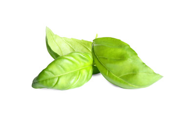 Fresh green basil leaves isolated on white