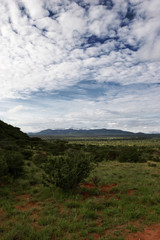 Kenya landscape