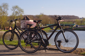 Fototapeta na wymiar Promenade en vélo, le long du canal au printemps