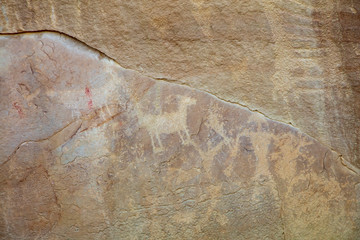 Detail of a part of the petroglyphs incised by the Fremont People in the sandstone rock face at Dinosaur National Monument, Utah