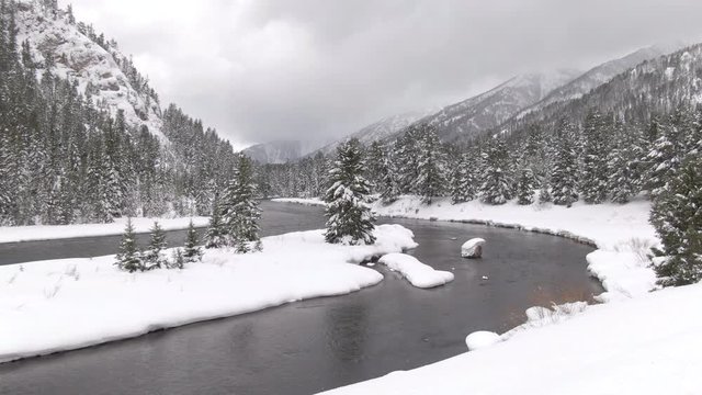 DRONE: Scenic aerial shot of snowy spruce forests surrounding the mountain stream in Canada. Large river flows through the forest covered valley in wintry Alberta. White winter wonderland near Banff.
