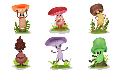Fantastic Mushrooms Of Different Design Vector Illustration Set