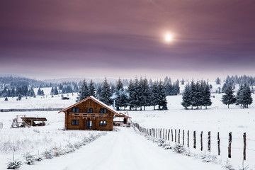 Wooden cottage in a fairy-tale winter landscape.