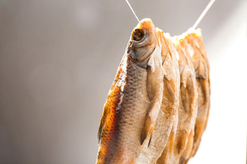 Tasty dried fish hanging on rope, closeup