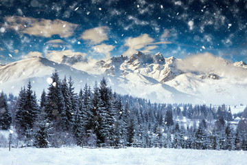 Fototapeta na wymiar Christmas background with snowy fir trees and mountains in heavy blizzard.