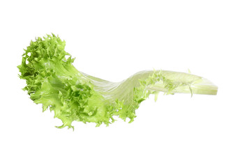 Fresh green lettuce isolated on white. Sandwich ingredient