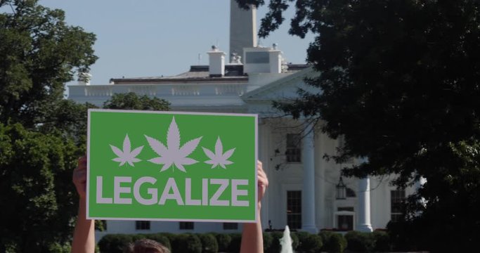 A man holds a Legalize Weed protest sign in front of the White House on a sunny summer day.  	