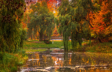 Fototapeta premium autumn in the park