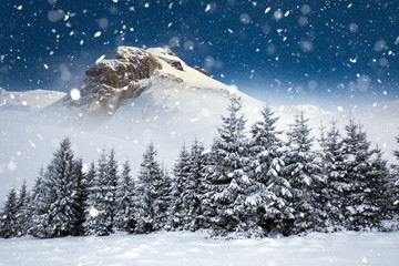 Obraz premium Christmas background with snowy fir trees and mountains in heavy blizzard.