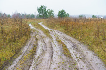 Fototapeta na wymiar Photography of Russian country road in rainy day. Autumn landscape in Moscow region. Concepts of travel and touristic mood and beauty of nature in bad weather.