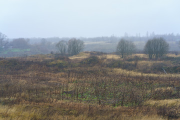 Photography of Russian country side in rain. Autumn landscape in Tver region. Concepts of travel and touristic mood and beauty of nature in bad wet weather. Suitable  for greeting cards, posters 