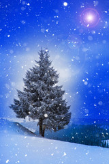 Christmas background with snowy fir trees and mountains in heavy blizzard.