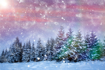 Christmas background with snowy fir trees and mountains in heavy blizzard.