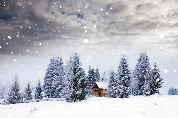 Wooden cottage in a fairy-tale winter landscape.