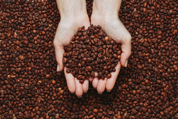 Top view roasted coffee beans in woman hands