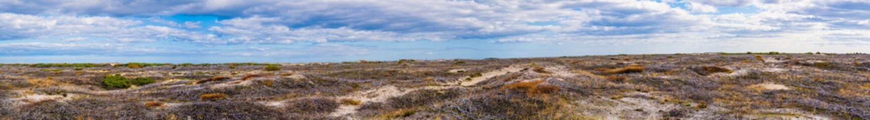 The consequences of a fire in the tundra. Panorama.