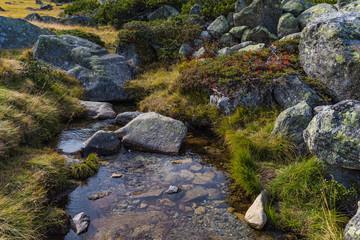 creek with rocks and grass