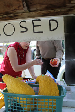 Retired man and woman buying squash at roadside stand