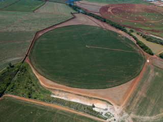 Fototapeta na wymiar agronegócio plantação