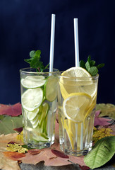 lime and lemon in jars of water stand on autumn leaves