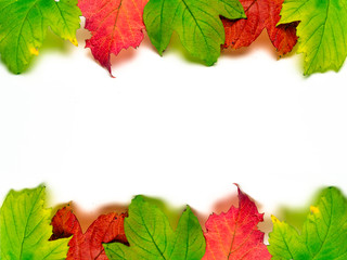 Banner Herbst Bunte Blätter isoliert