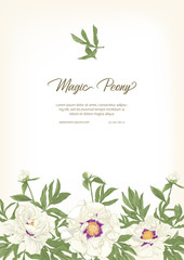 White Peony. Template for wedding invitation, greeting card, banner, gift voucher, label. Colored vector illustration..