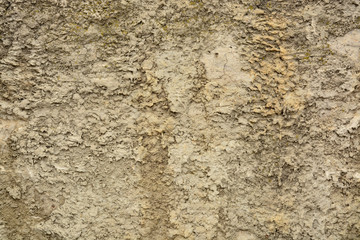 Naklejka premium Beautiful vintage background. Abstract grunge decorative stucco wall texture. Wide rough background with copy space for text.