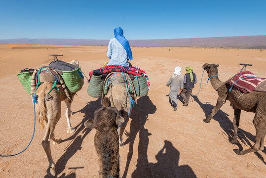 Camel caravan in Sahara desert in